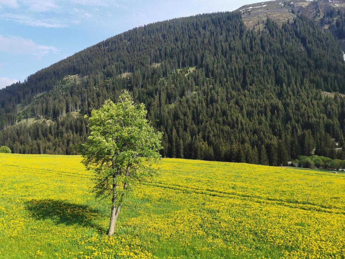 Tgèsa Dutg Grond Appartement Sedrun Buitenkant foto